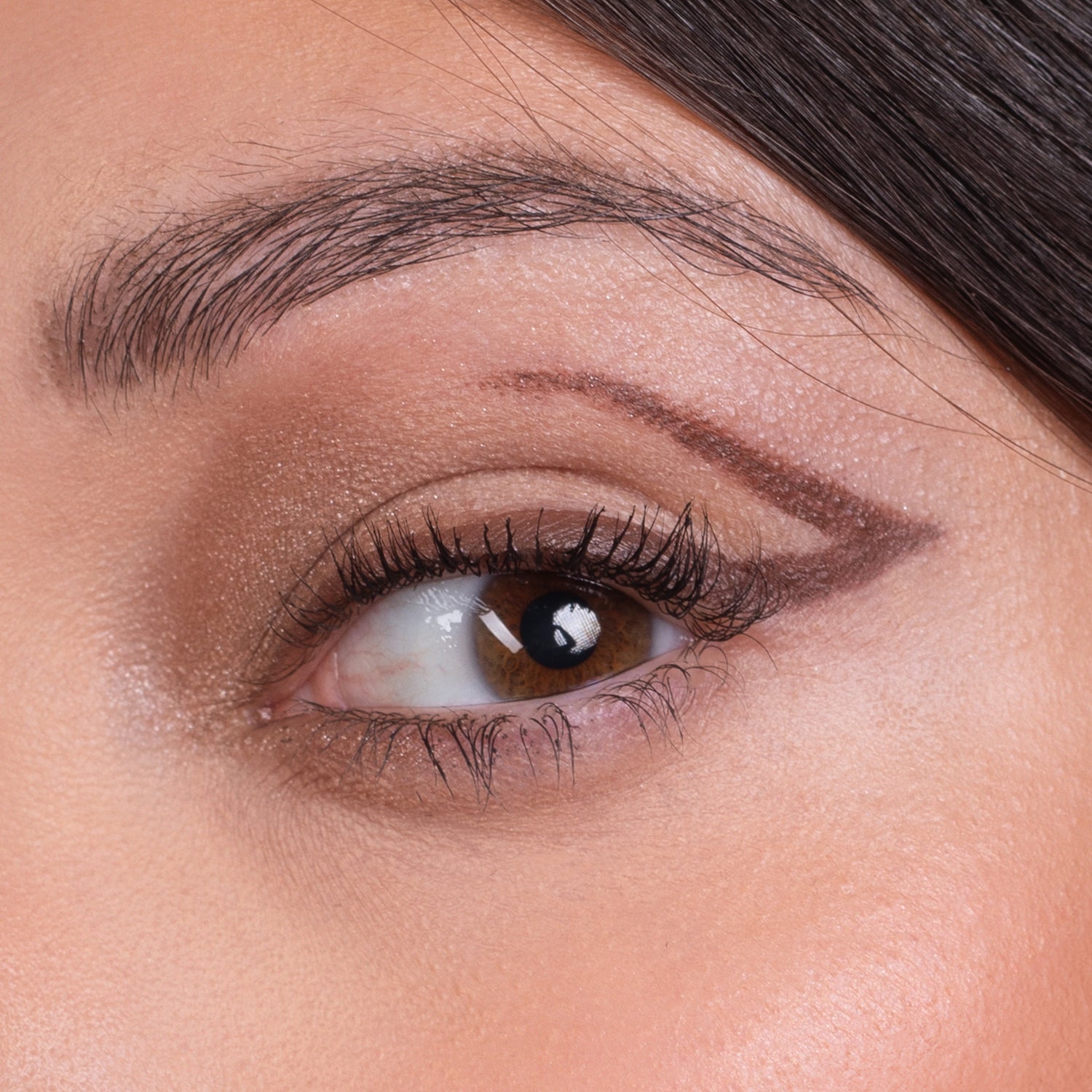 Artist Brush Brown - 704