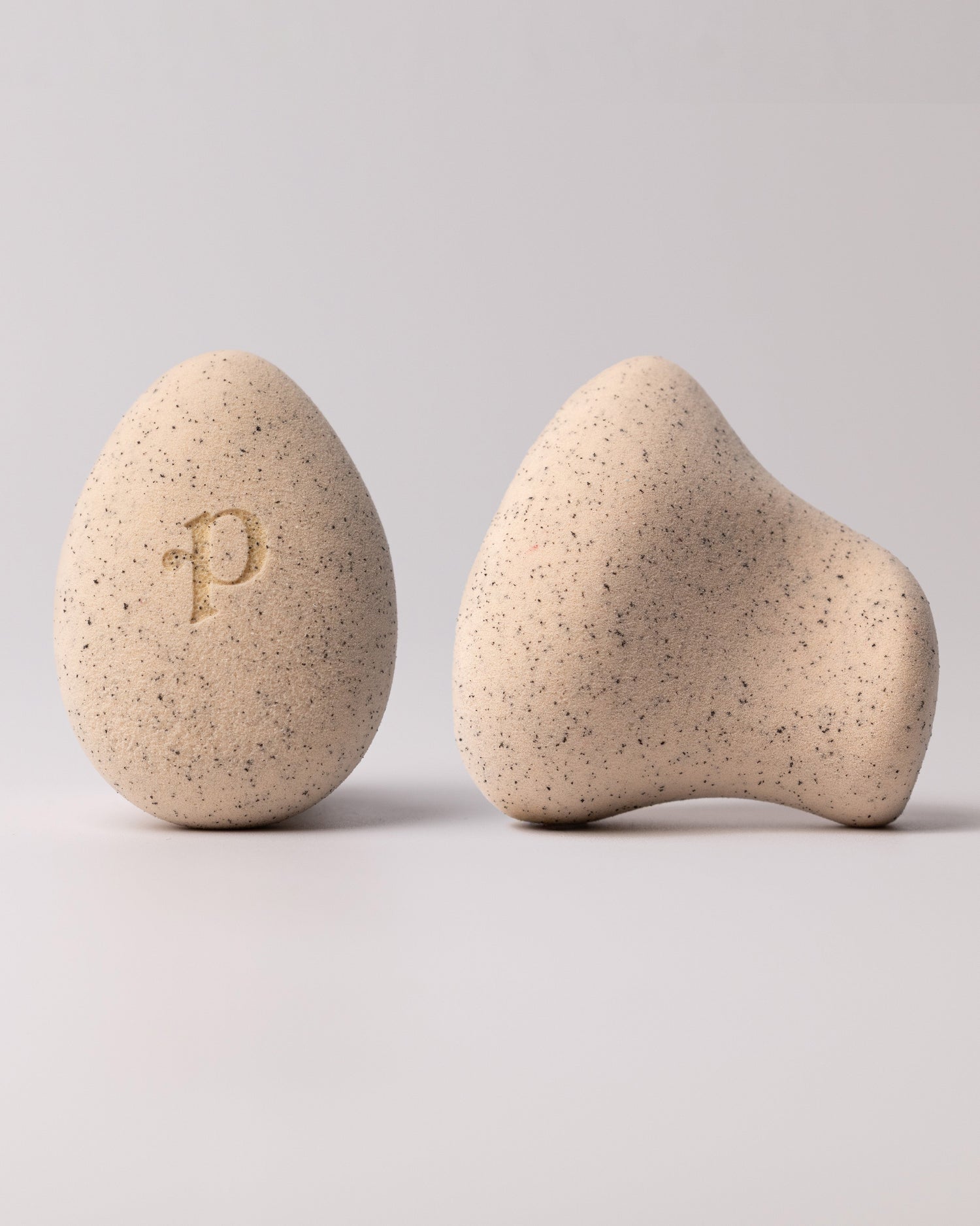 The Everything Sponge