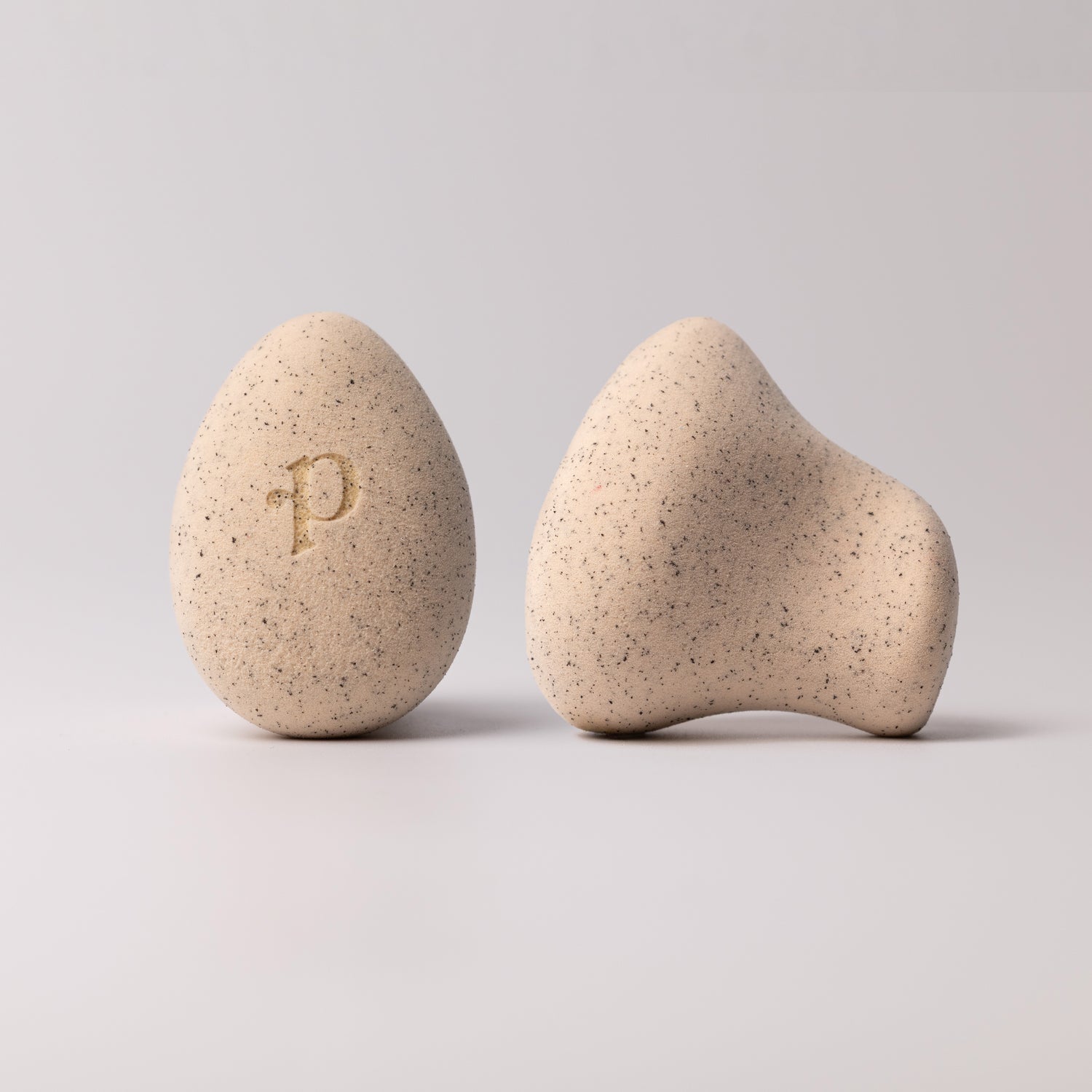 The Everything Sponge